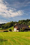 Traditional House in Black Forest, Baden-Wurttemberg, Germany