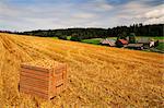 Crate of Potatoes on Farm in Unterkirnach, Black Forest, Baden-Wurttemberg, Germany