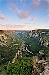 Ansicht der Gorges du Tarn von Point Sublime, Languedoc-Roussillon, Frankreich