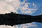 Alpine Ibex und Dent du Geant, Lacs de Cheserys, Chamonix, Frankreich