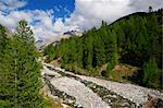 Ruisseau dans la vallée de l'Ubaye, Alpes-de-Haute-Provence, France
