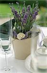 Champagne Glasses next to a Flower Pot with Lavender - Festivity - Decoration - Beverages
