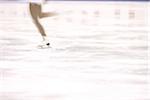 Patinage sur glace