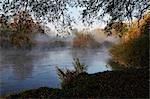 Brume matinale sur la rivière, Amperauen, Fuerstenfeldbruck, Bavière, Allemagne