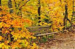 Park Bench in Autumn Forest, Danube Valley, Baden-Wurttemberg, Germany