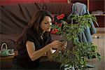 Young woman pruning potted ficus