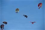 Chinese kites flying high against clear blue sky