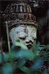 Placid face of Buddha, statue in forest