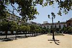 Plaza de San Francisco, Sevilla, Andalusien, Spanien