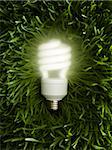 Energy efficient light bulb on green grass.