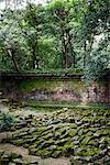 Wall at Phimeanakas Temple, Angkor Thom, Angkor, Cambodia