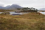 Woman by Water and Mountains, Pine Island, Loch Derryclare, County Galway, Connemara, Ireland