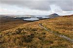 Wanderer auf Trail, Connemara-Nationalpark, Connemara, County Galway, Irland