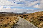 Sentier à travers les collines, le Parc National du Connemara, Connemara, County Galway, Irlande