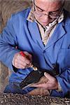 Italian Shoemaker Spreading Glue on Sole of Boot