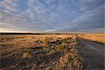 Feldweg im Yuma County, Colorado, USA