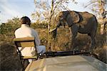 Tracker looking at african elephant