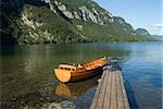 Lake Bohinj Slowenien