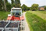 Frankreich, Champagne-Ardenne, Aube, Fahrzeug transportieren Trauben entlang Landstraße