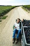 France, Champagne-Ardenne, Aube, un homme assis à côté des bacs de raisins sur le plateau du camion, chevauchant le long chemin de terre à travers les vignes