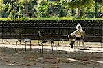 France, Paris, femme assis tout seul dans le parc, vue arrière