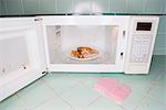 Splattered Salmon Steak on Inside of Microwave