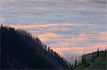 Vue de Hurricane Ridge, Olympic National Park, Washington, Etats-Unis