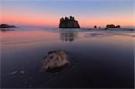 Zweite Beach, Olympic Nationalpark, Washington, USA