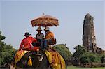 Gens à cheval sur les éléphants, Ayutthaya, Thaïlande