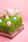 Easter Eggs and Hyacinths