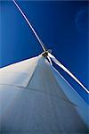 Wind Turbine, des Vogels Landung, Kalifornien, USA