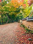 Temple Wall and Autumn Leaves, Seonun Temple, Mt Seonun, Seonunsan Provincial Park, Jeollabuk-do, South Korea