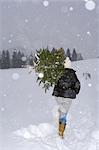 Femme portant des arbres de Noël, Salzbourg, Autriche
