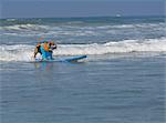 Chien surf à chien Surf Surf-o-Thon, Del Mar, Californie, USA