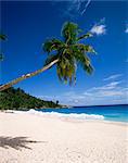 Anse Intedance, île de Mahé, Seychelles, océan Indien, Afrique