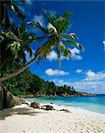 Seychelles, Indian Ocean, Africa