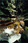 Canyon near Kavak, an Indian village near the Angel Falls, Venezuela, South America