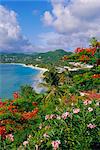 Plage Grand Anse, Grenada, Caribbean, West Indies