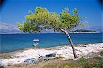 Deserted island beach, Lumbarda, Corcula (Korcula) Island, southern Dalmatia, Croatia, Europe