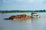 Transport de billes sur la rivière Curua-Unn, près d'Amazone, au Brésil, en Amérique du Sud