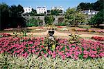 Candie gardens, botanic gardens, St. Peter Port, Guernsey, Channel Islands, United Kingdom, Europe