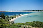 Protégée ornithologique, parc marin Shoalwater, Penguin Island, Perth, Australie-occidentale, Australie, Pacifique
