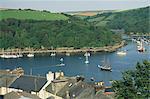 River Fowey and forest area of Hall Walk, Q monument visible through trees, Cornwall, England, United Kingdom, Europe