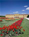 Palais et jardins de Schönbrunn, patrimoine mondial de l'UNESCO, Vienne, Autriche, Europe