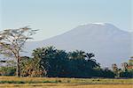 Den Kilimanjaro, Amboseli, Kenia, Afrika
