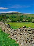 Dry stone wall, Swaledale, North Yorkshire, England, United Kingdom, Europe