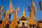 Paasaat offerings, Pha That Luang Temple, Vientiane, Laos, Indochina, Asia