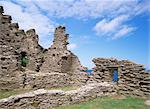 Tintagel castle, Cornwall, Angleterre, Royaume-Uni, Europe