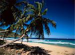 Lambert Bay, Tortola, British Virgin Islands, West Indies, Central America