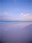 Sea and sand at sunset at Pink Sands Beach, Harbour Island, Eleuthera, The Bahamas